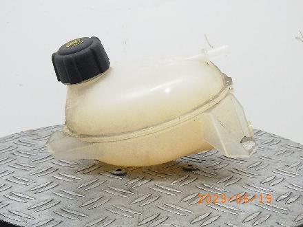 Behälter Kühlwasser DACIA Sandero II (SD) 217107259R
