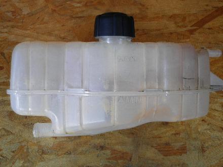 Behälter Kühlwasser RENAULT Clio III (BR0/1, CR0/1) 0032102