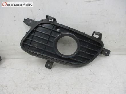 Blende Nebelscheinwerfer links Abdeckung MERCEDES-BENZ A-KLASSE (W169) A 160 CDI 60 KW A1698850522