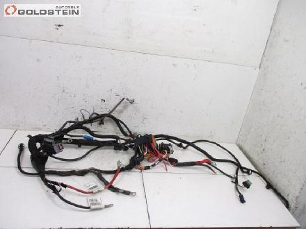 Kabel Motor Motorkabelbaum D7F800 RENAULT TWINGO II (CN0) 1.2 43 KW 8200804175