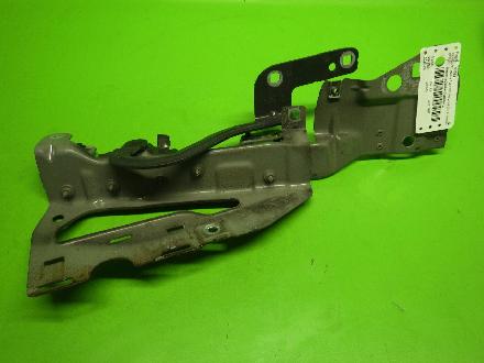 Motorhaubenscharnier links RENAULT MODUS / GRAND MODUS (F/JP0_) 1.5 dCi (FP0F, JP0F) 654010421R