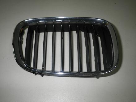 Kühlergrill BMW 5er (E39) 8159312