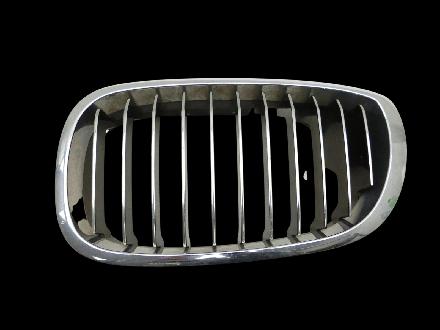 BMW E46 320CD 03-06 Frontgrill Kühlergrill Niere Grill Links