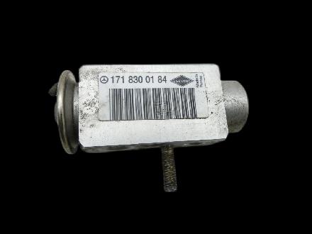 Mercedes W169 A150 04-08 Expansionsventil für Klima