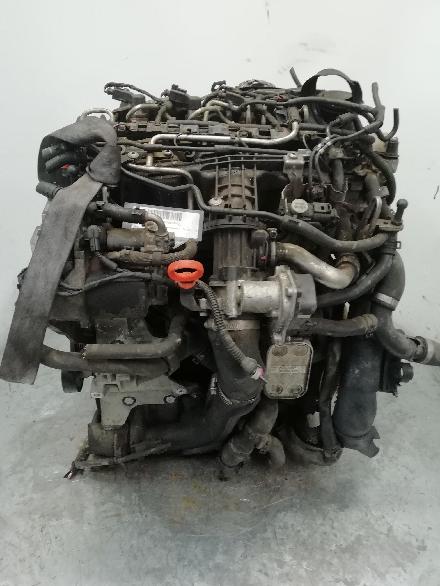 Motor ohne Anbauteile (Diesel) VW Golf VI (5K) CAYC