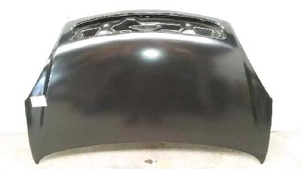 Motorhaube Sonstiger Hersteller Sonstiges Modell () 109072230