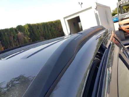Dachreling Ford EcoSport ()