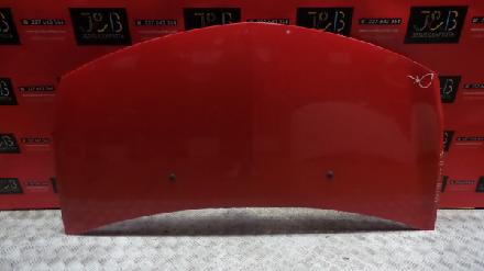 Motorhaube Renault Clio III (BR0/1, CR0/1)