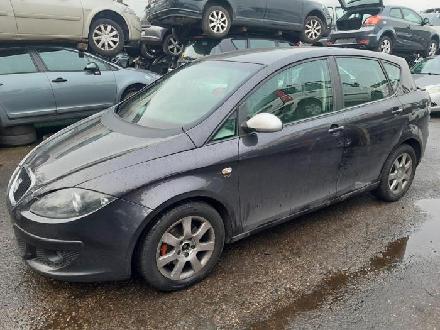 Türscheibe links hinten SEAT Toledo III (5P)