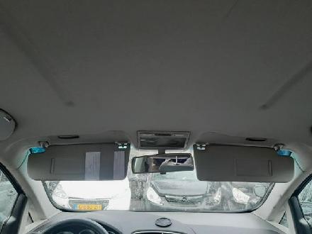Verkleidung Dachrahmen SEAT Toledo III (5P)