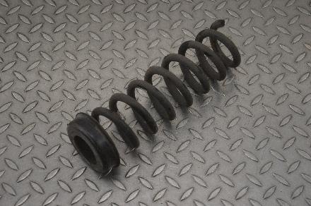 Federblatt links hinten BMW 4er Coupe (F32, F82)