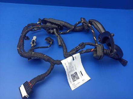 Kabel Tür BMW 7er (E65, E66) 6913150