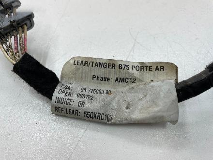 Kabel Tür Citroen DS3 () 9677609380