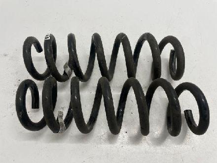 Federblatt links hinten BMW 3er (G20)