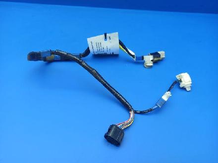 Kabel Tür Lexus IS 2 (E2) 8974653020