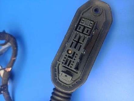 Kabel Tür BMW 7er (E65, E66) 6913132