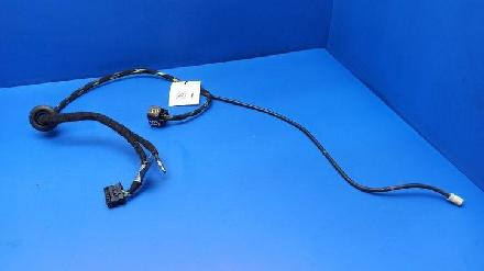 Kabel Tür BMW 7er (E65, E66) 6913125