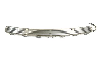 Grill Windlauf Mercedes-Benz CLS (C219) A2118800005