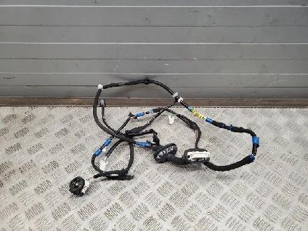 Kabel Tür Lexus NX () 8215478010