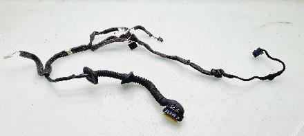 Kabel Tür Renault Scenic III (JZ) 241275076R