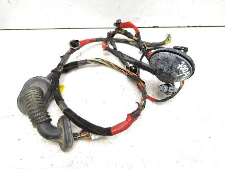 Kabel Tür Hyundai Sonata V (NF) 916503K020