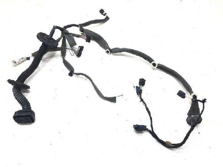 Kabel Tür Renault Grand Scenic III (JZ) 241259931R