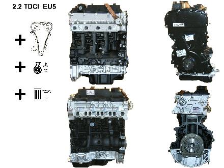 Motor ohne Anbauteile (Diesel) Ford Transit V363 Kasten (FCD, FDD) DRFA