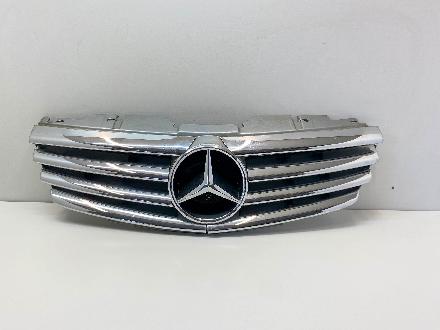 Ziergitter Mercedes-Benz SL (R230) 2308800583