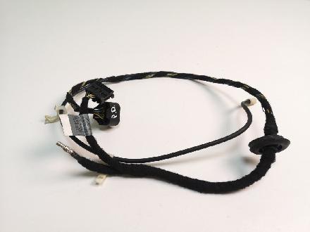 Kabel Tür BMW 7er (E65, E66) 6913125