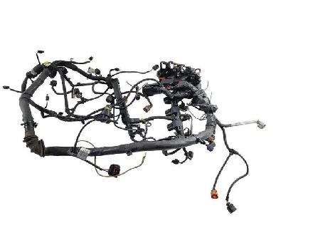Kabel Motor Audi Q5 (8R) 8K2971074S