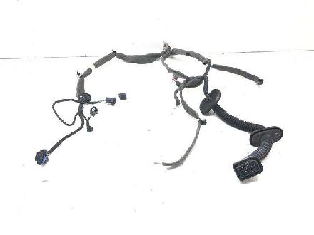 Kabel Tür Renault Grand Scenic III (JZ) 241248733