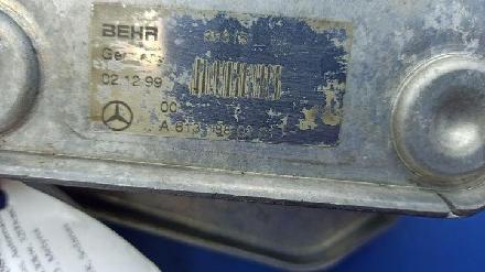Kühler Mercedes-Benz S-Klasse (W220) A6131880201
