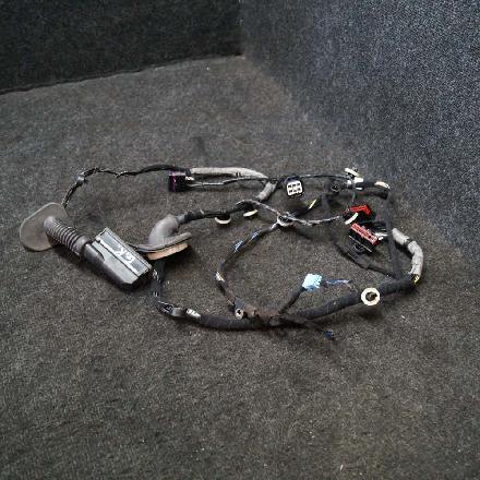 Kabel Tür Jaguar XE (X760)