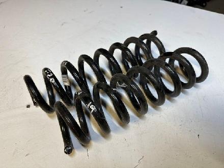 Federblatt links hinten BMW 1er (F21)