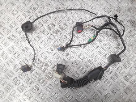 Kabel Tür Fiat Ulysse (179) 1494413080