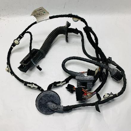 Kabel Tür Audi Q5 (8R) 8R0971687B