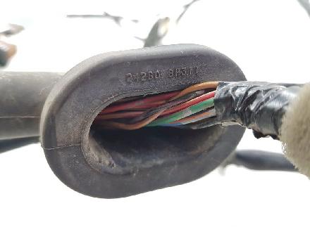 Kabel Tür Nissan X-Trail (T30) 242608H311