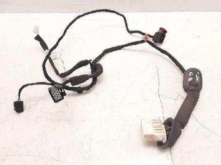 Kabel Tür Chevrolet Captiva (C100, C140) 6F17DEY