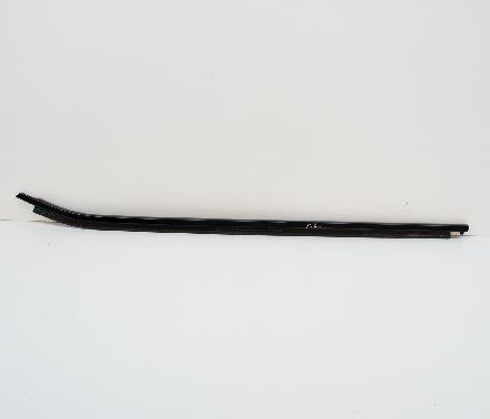 Zier-/Schutzleiste für Türscheibe BMW X3 (G01, F97)