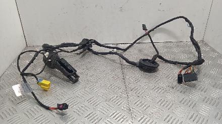 Kabel Tür Audi Q5 (8R) 8R0971029AT