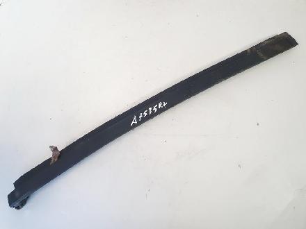 Zierleiste Leiste - Vorne Linke Toyota RAV-4, II 2000.09 - 2005.11 Gebraucht,