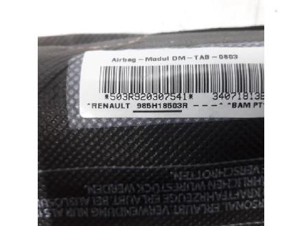 985H18503R Airbag Sitz RENAULT Clio III (BR0/1, CR0/1)