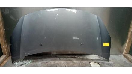 Motorhaube CITROEN C3 II (SC)