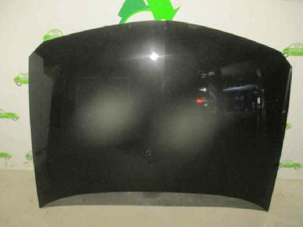 Motorhaube NEGRO Renault II (BG0) 1.9 dCi Diesel FAP CAT