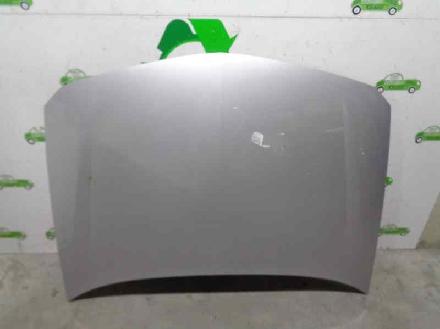 Motorhaube GRIS Renault II (BG0) 1.9 dCi Diesel