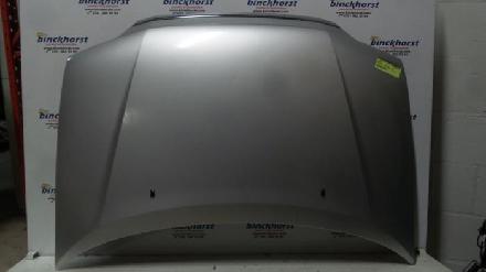 Motorhaube DAIHATSU Gran Move (G3)