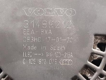 Lichtmaschine VOLVO V90 II Estate (235, 236) 36011427