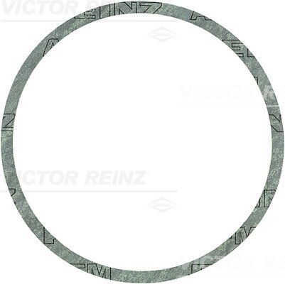 Dichtring VICTOR REINZ 40-81168-00