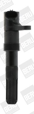 Zündspule 12 V BorgWarner (BERU) ZS321