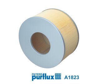 Luftfilter PURFLUX A1823